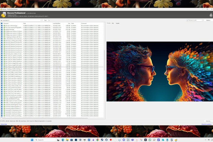 Recuva Professional's user interface.