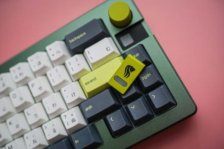 Badge on the Glorious GMMK 3 keyboard.