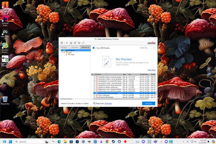 alt text: After a quick scan, Stellar Data Recovery Premium displays a file list with previews.