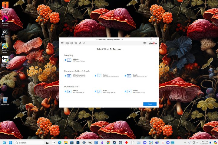 alt text: Stellar Data Recovery's user interface is generally straightforward.