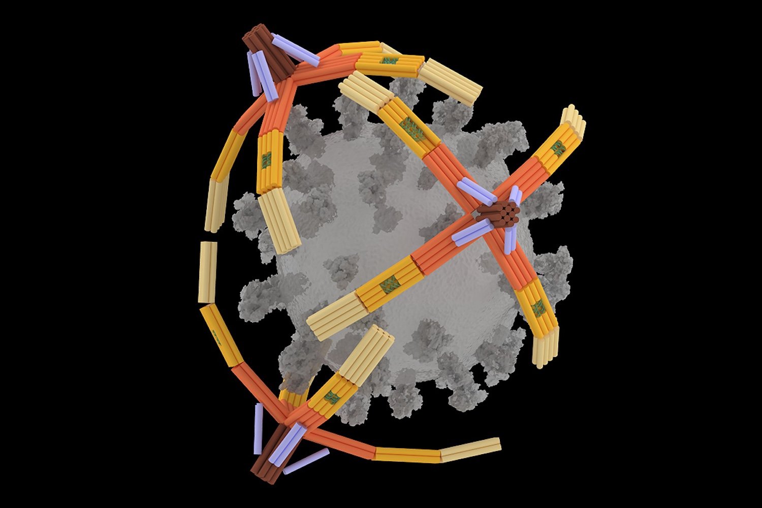 Microscopic DNA "Hand" Grabs and Neutralizes Viruses