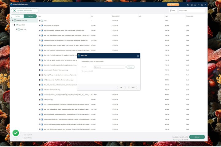 alt: Screenshot of the Wise Data Recovery user interface.