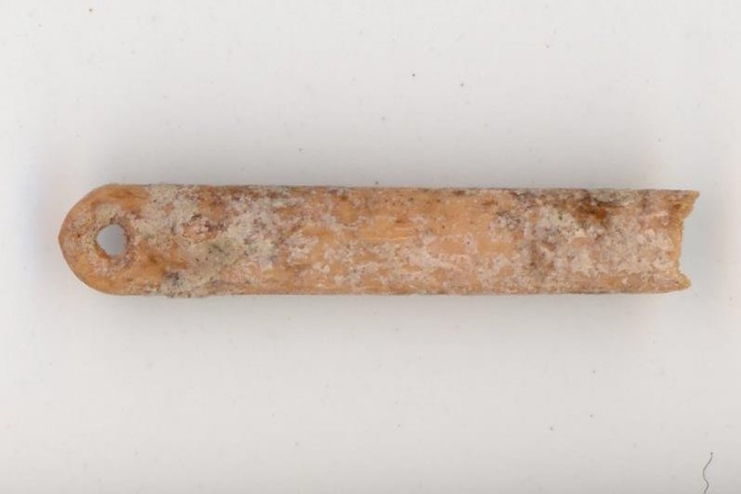 13,000-Year-Old Bone Needles Reveal How Ice Age Humans Adapted to North American Cold