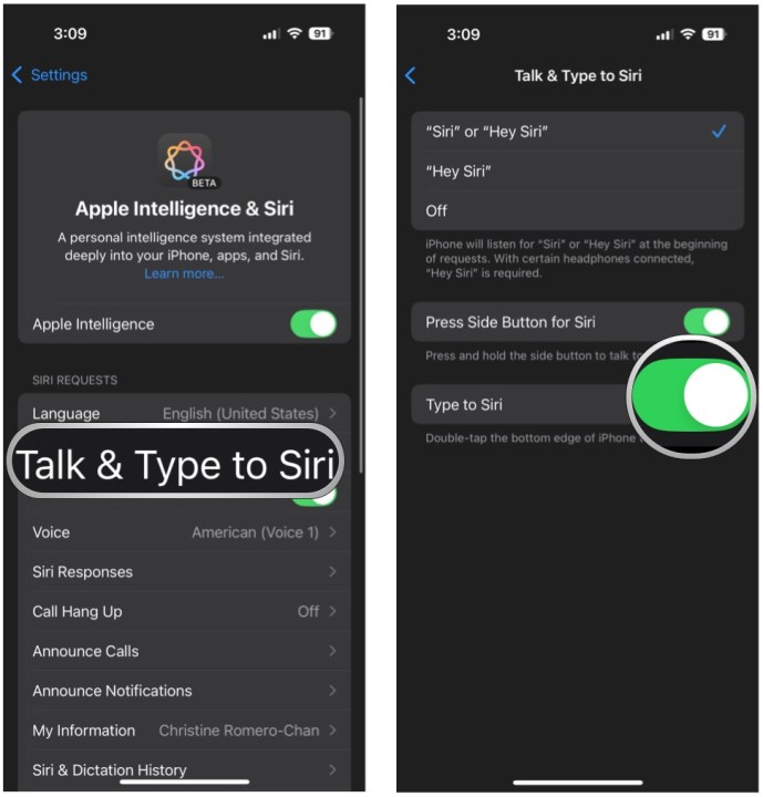 Select Talk and Type to Siri, make sure the toggle is ON.