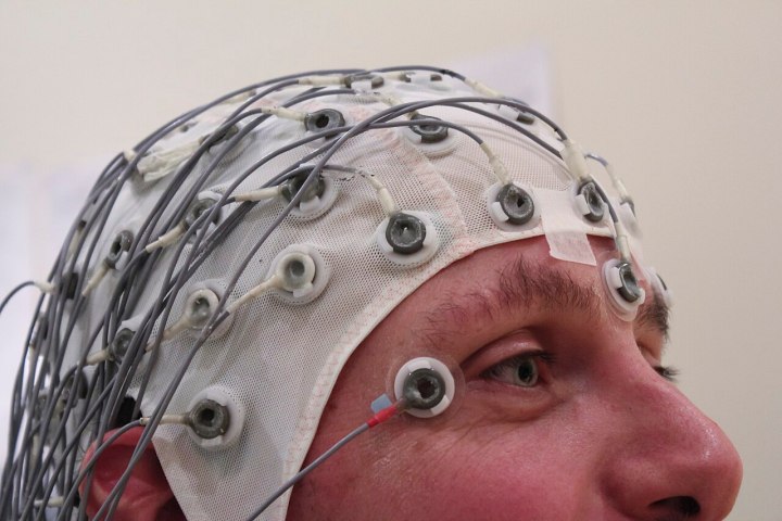 an EEG cap