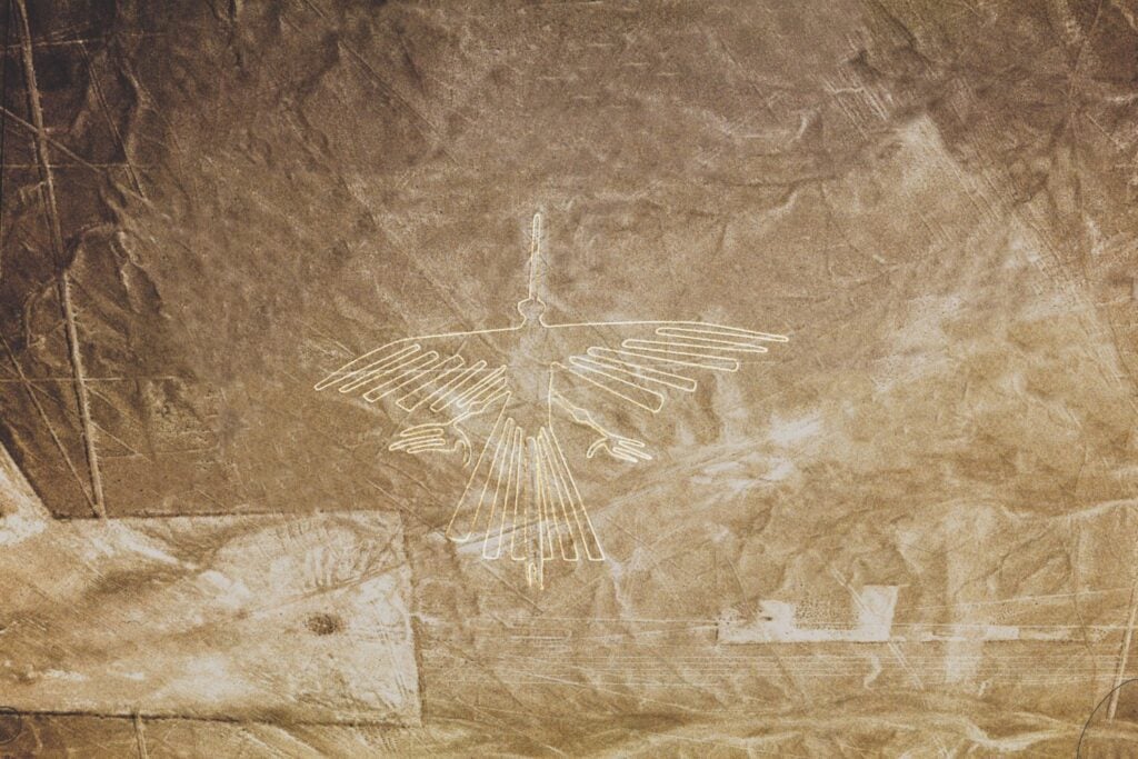 A Nazca Line geoglyph depicting a bird.