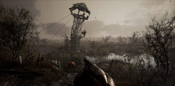 A dreary swamp in Stalker 2.