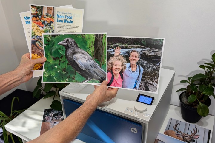 The HP Color LaserJet Pro 4201dw has very good print quality, even for photos.