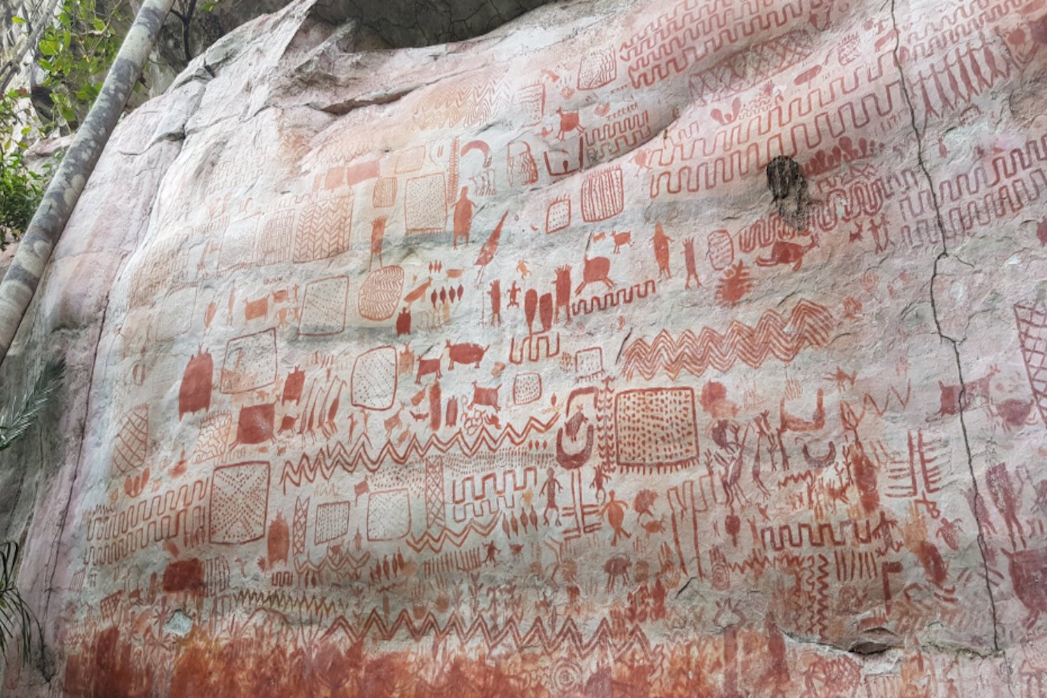 Ancient Amazonian Rock Art Reveals Complex Human-Animal Relationship