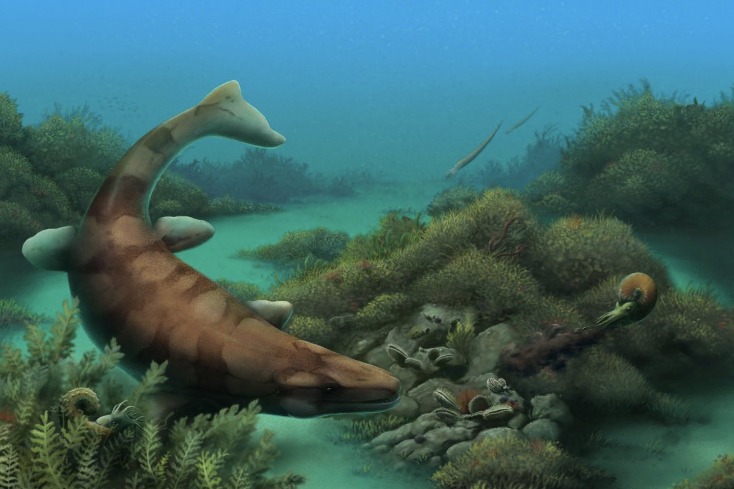 Prehistoric Sea Predator's Powerful Jaw Found in Texas