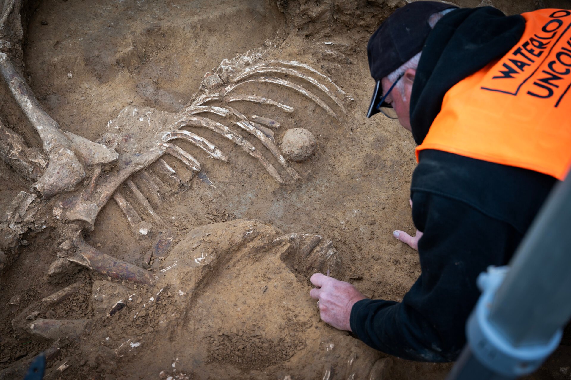 Photo of skeletal remains at Battle of Waterloo archaeological dig.