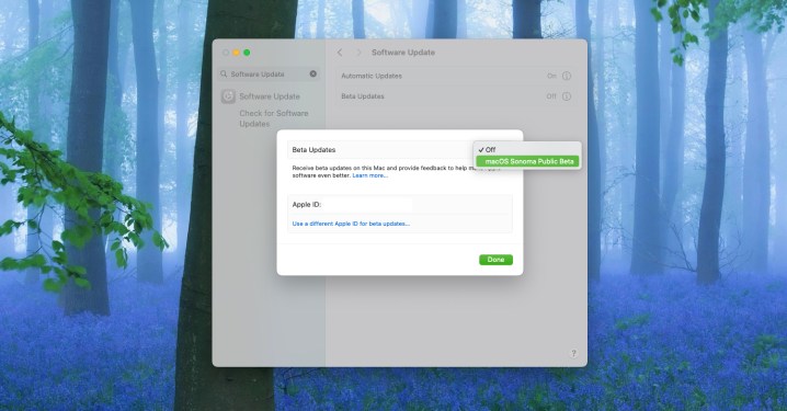 alt text: Setting up macOS beta on a Mac. The System Settings window shows the Software Update section with beta update options.