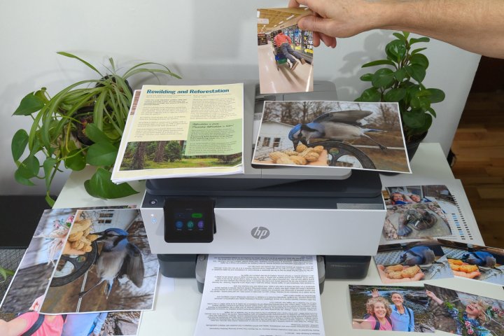 The HP OfficeJet Pro 9125e has accurate colors in photos on glossy and plain paper.