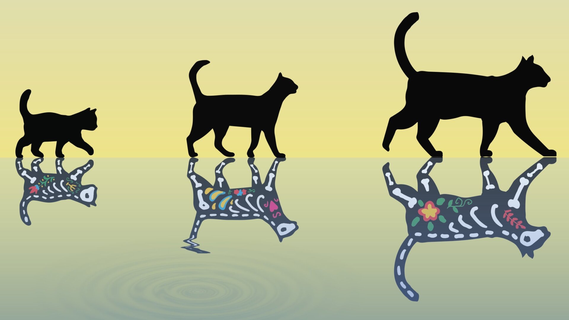 Pushing the Limits of Quantum Superposition: Creating a “Fat” Schrödinger’s Cat