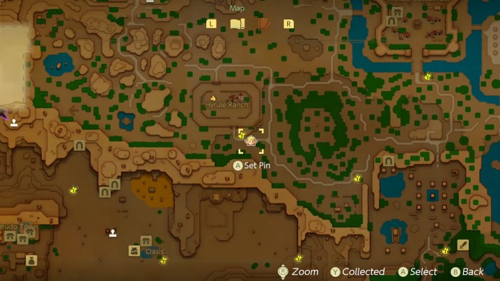 Hyrule Ranch Stamp Location