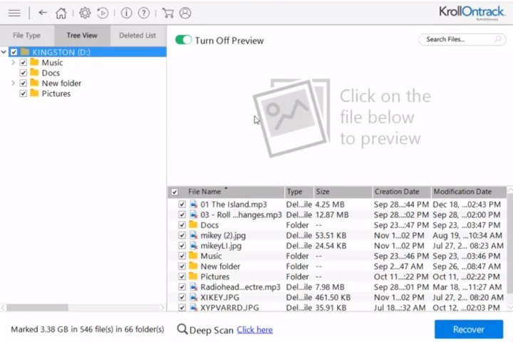 Ontrack EasyRecovery preview file screen.