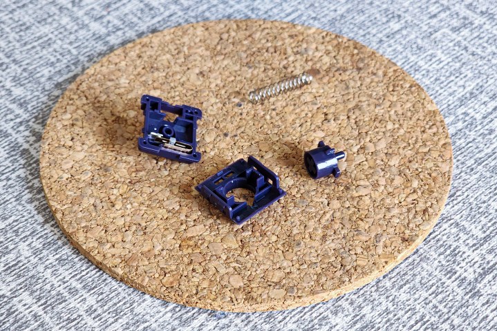 alt: Disassembled Kailh Phantom tactile switch showing factory lubrication.