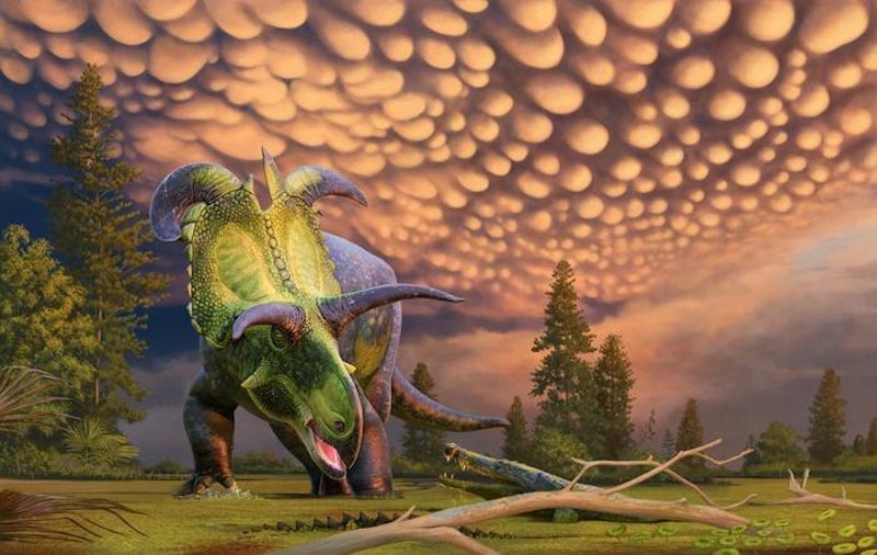 Loki's Horned Face: A New Triceratops Relative Discovered