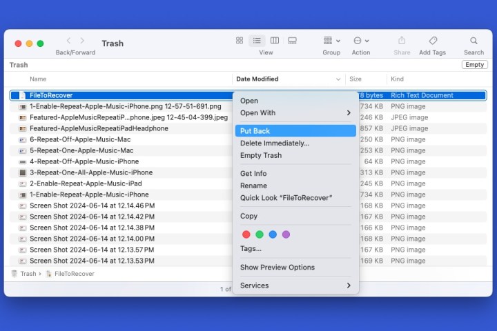 Put Back in the file menu in Trash on Mac.