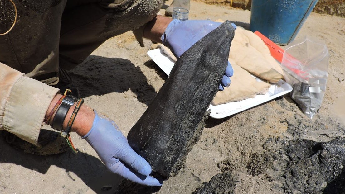 Half-Million-Year-Old Wooden Structure Predates Homo Sapiens