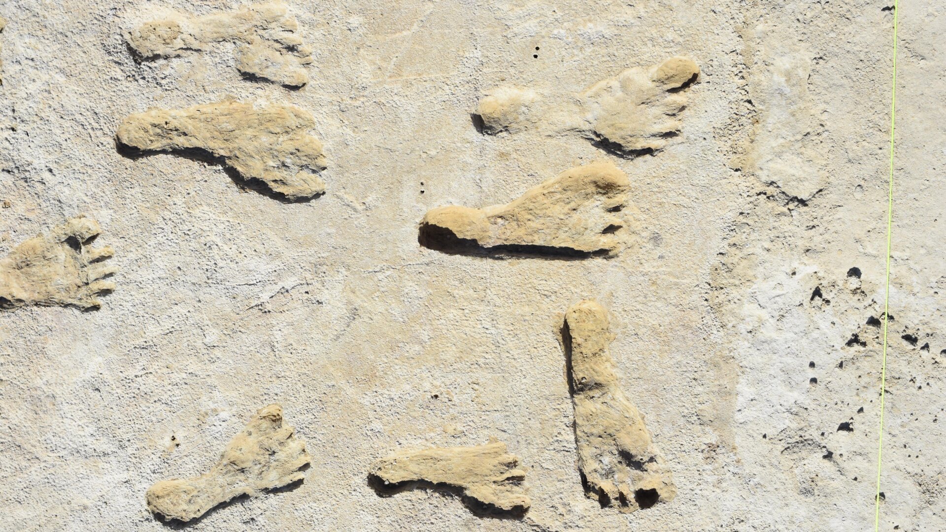 White Sands Footprints Confirm Early Human Presence in North America