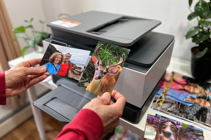 The HP OfficeJet Pro 9015e delivers great photo print quality.