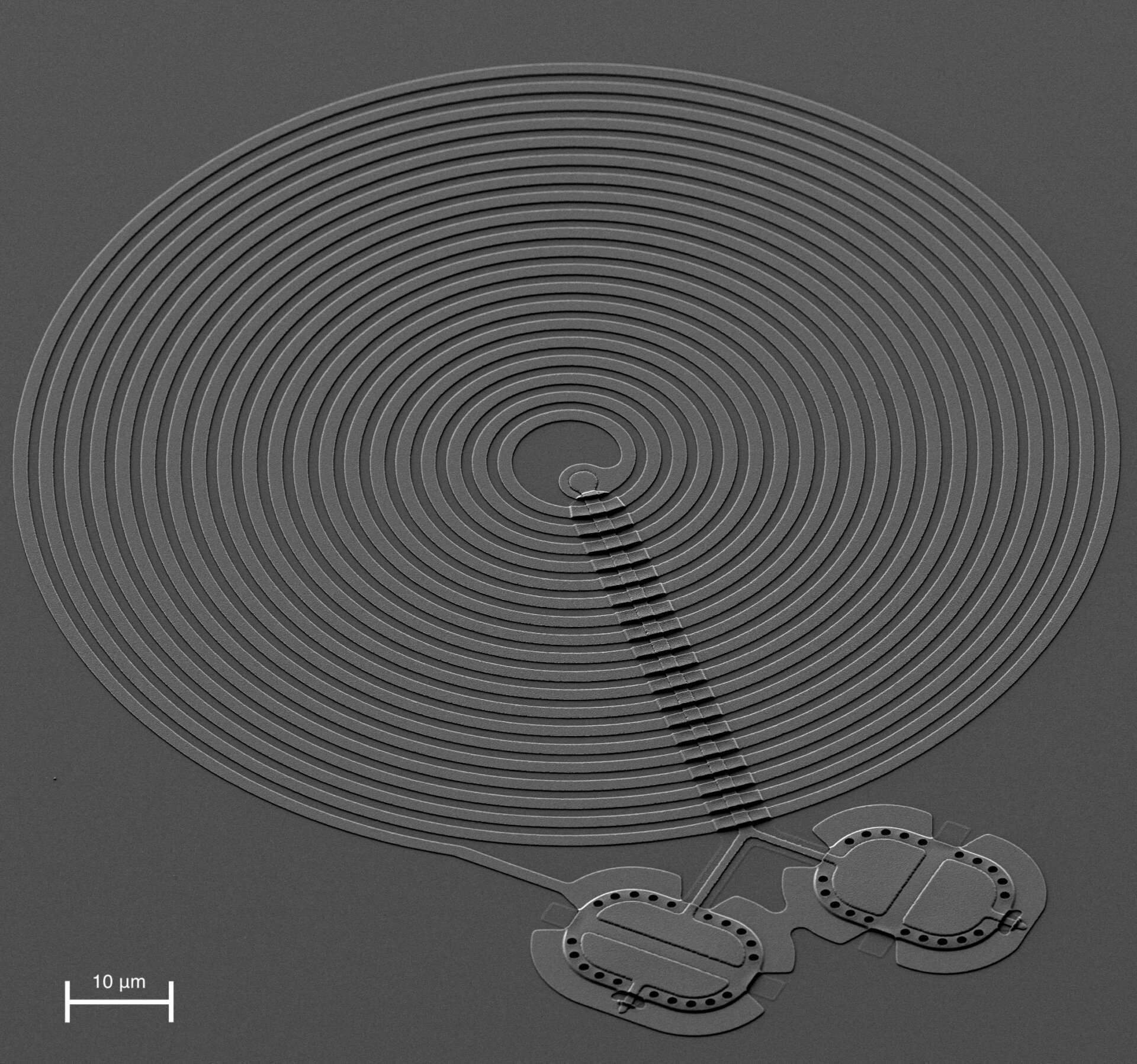 Alt text: Diagram illustrating the microwave setup used to induce vibrations in the entangled drums.