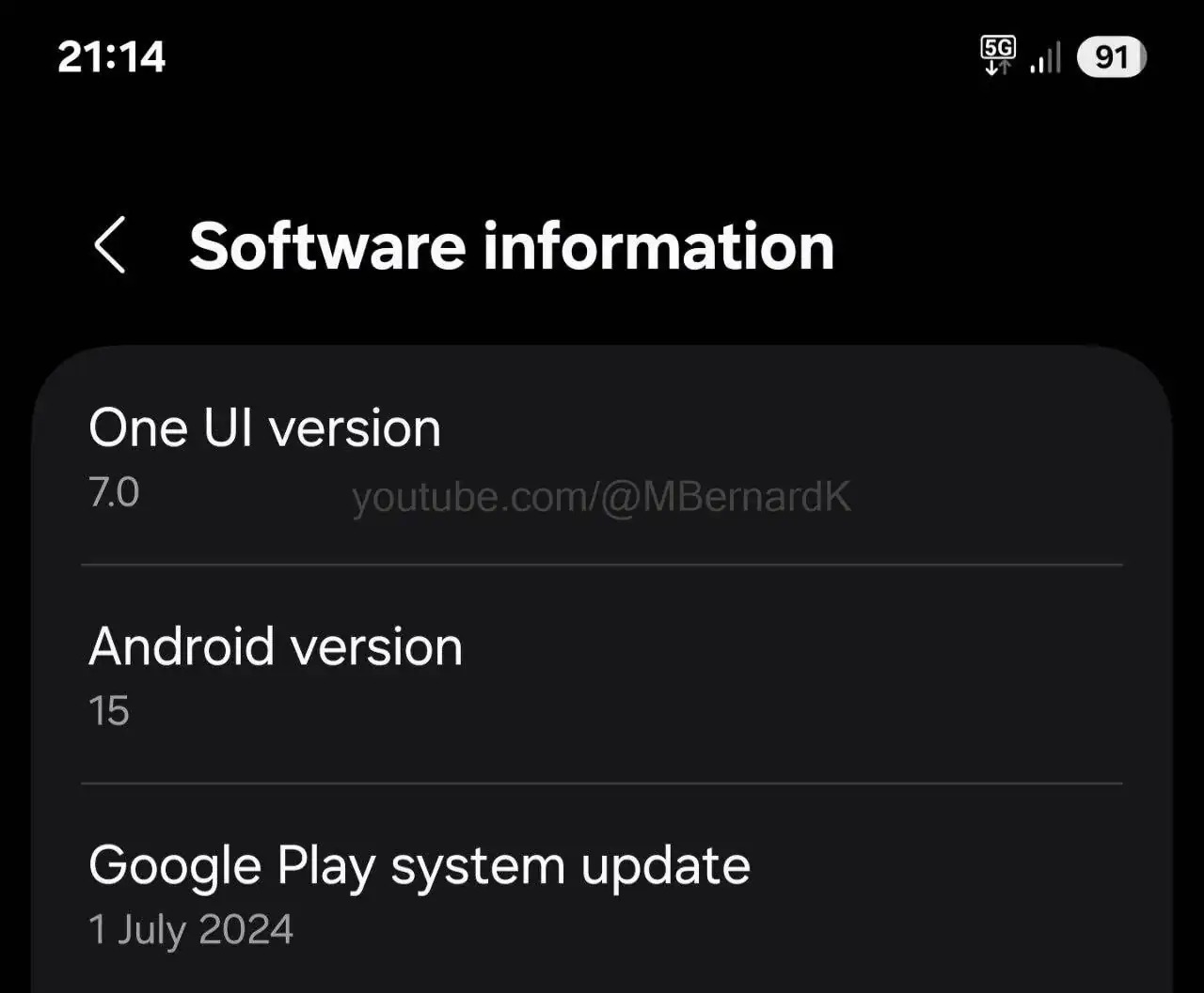 Screenshot displaying Samsung Galaxy S25 Ultra software information.