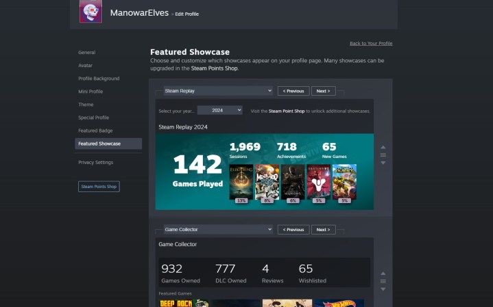 Showcase settings for Steam Replay 2024.