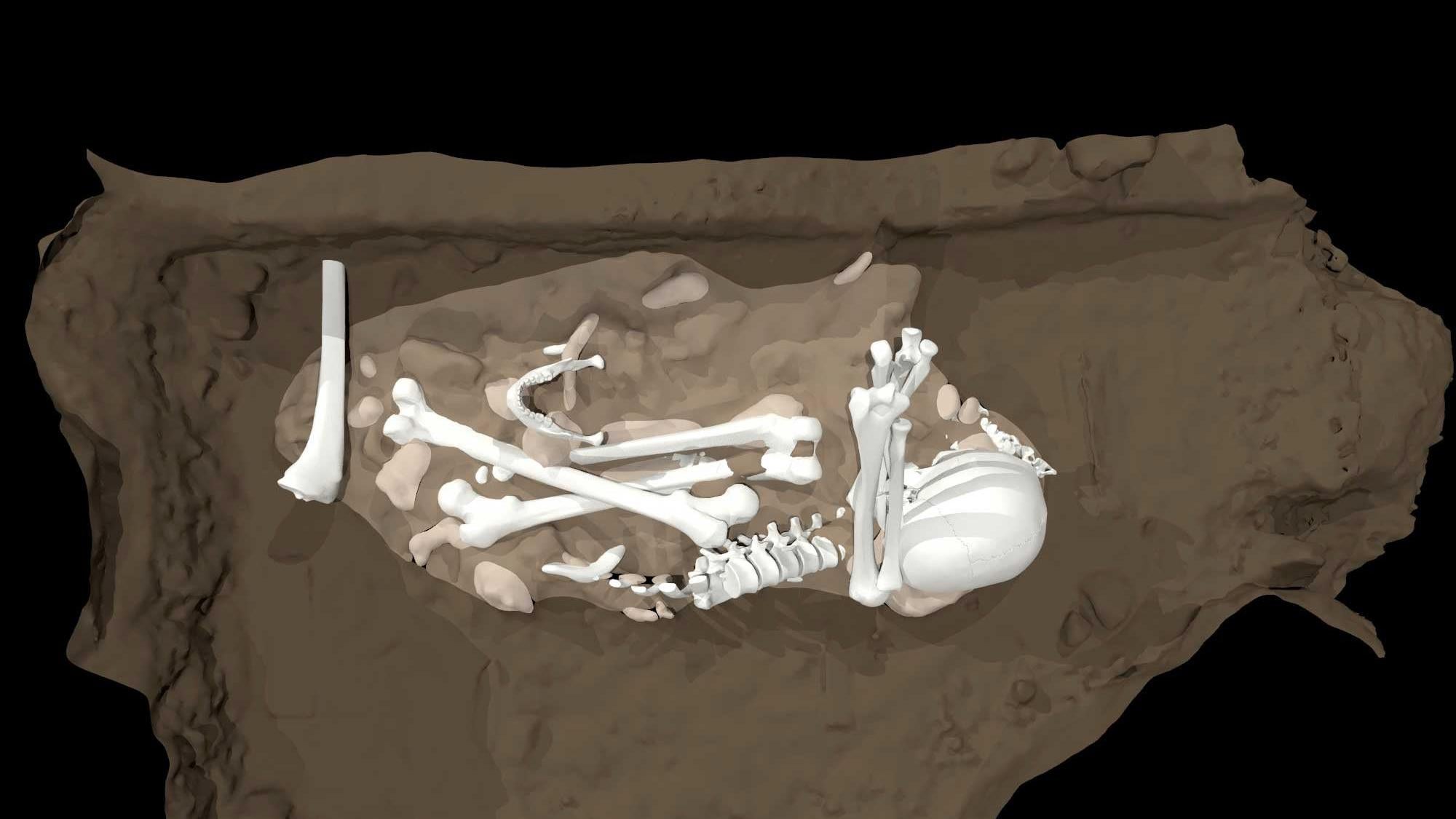 An artist’s reconstruction of an adult Homo naledi found in the cave’s Dinaledi Chamber.