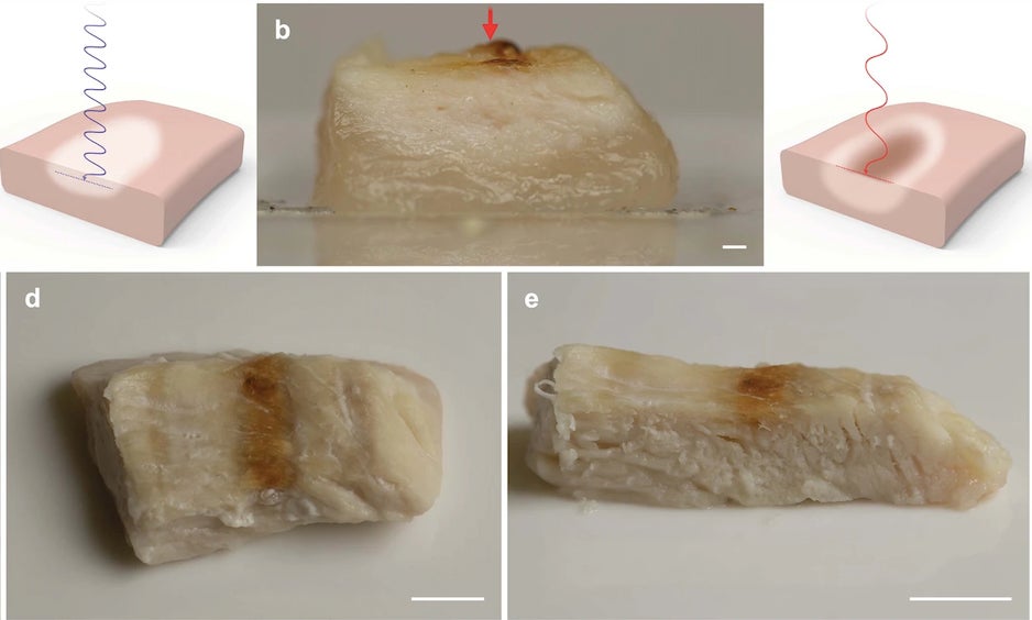 Cooking Chicken with Lasers: A New Frontier in Culinary Tech