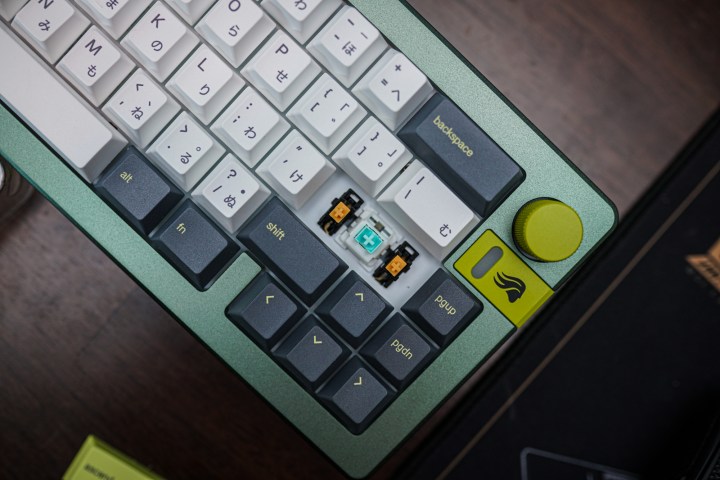 alt text: Close-up image of mechanical switches on a Glorious GMMK 3 keyboard. Mechanical switches offer a variety of tactile feedback and actuation forces.