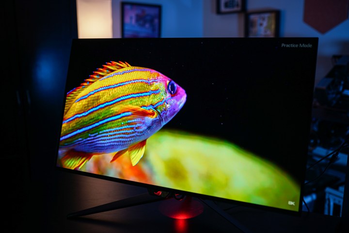 An OLED demo on the Asus ROG Swift PG32UCDP.