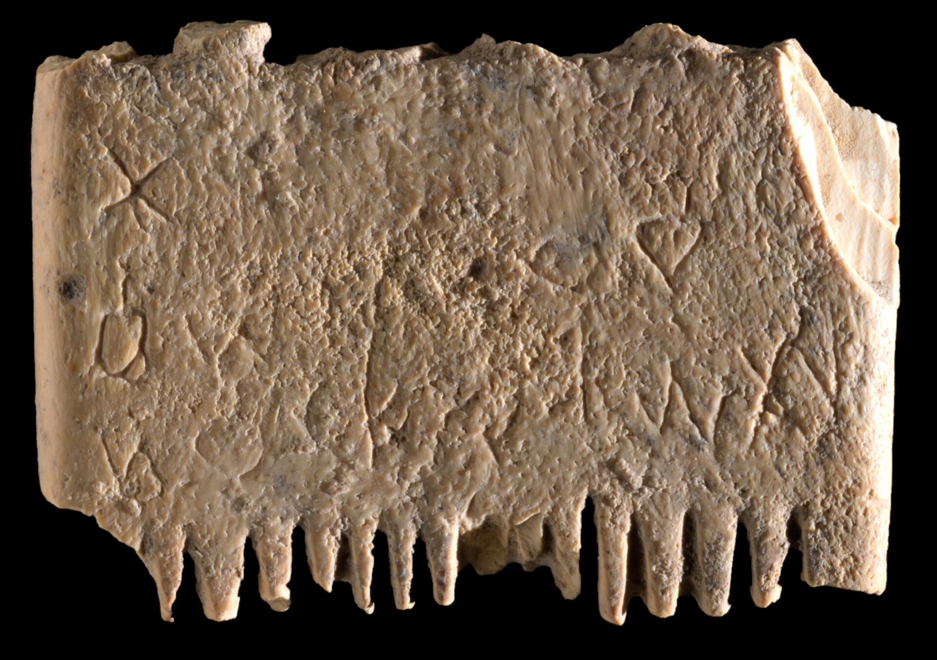 First Canaanite Sentence Discovered: A Plea Against Lice on Ancient Ivory Comb