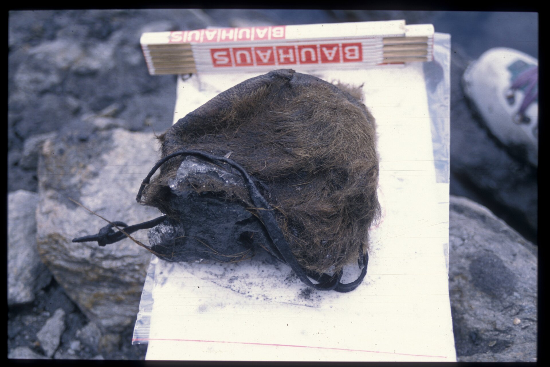 Ötzi’s fur cap, as seen when it was first discovered.