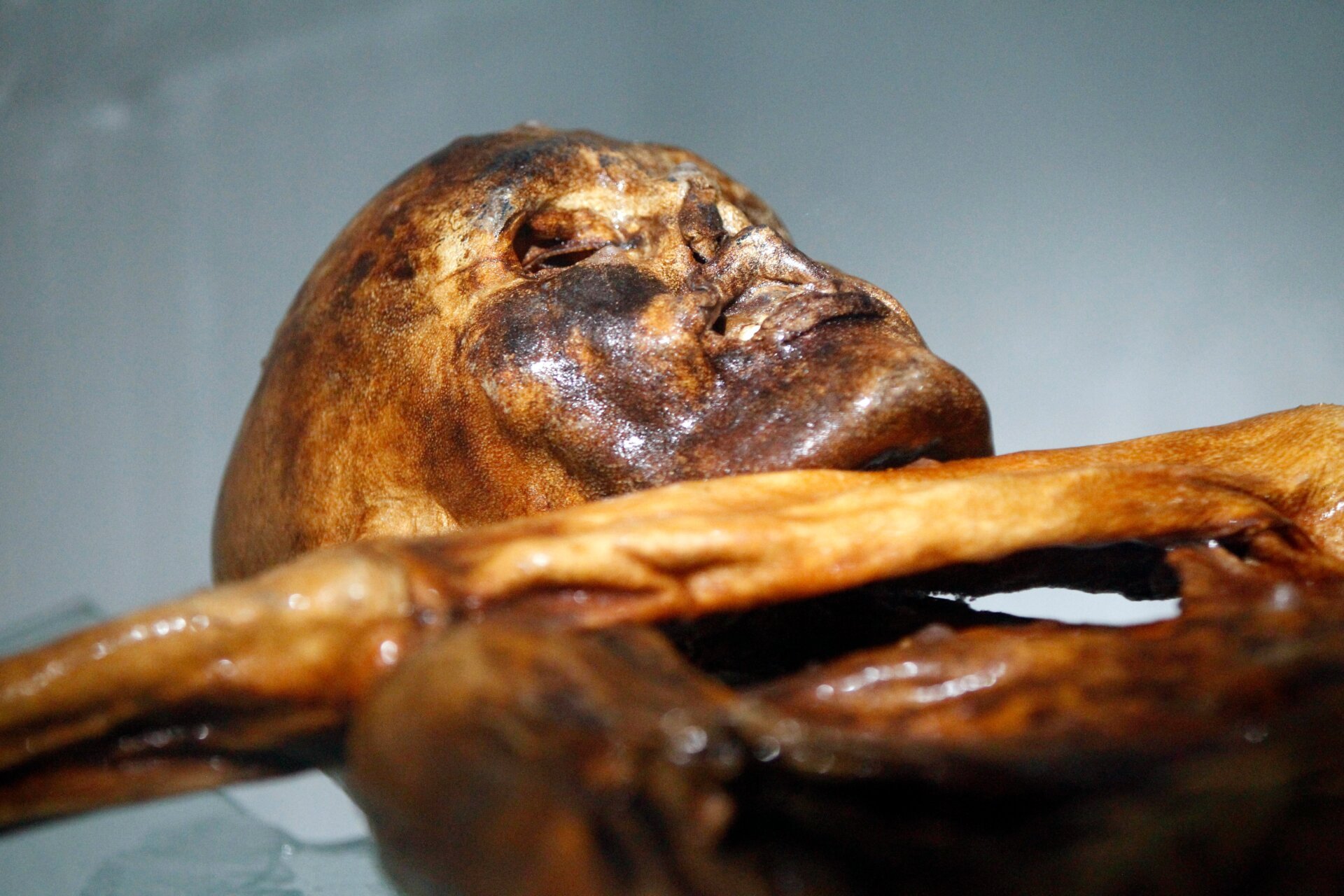 Ötzi the Iceman: A Stone Age Cold Case Re-Examined