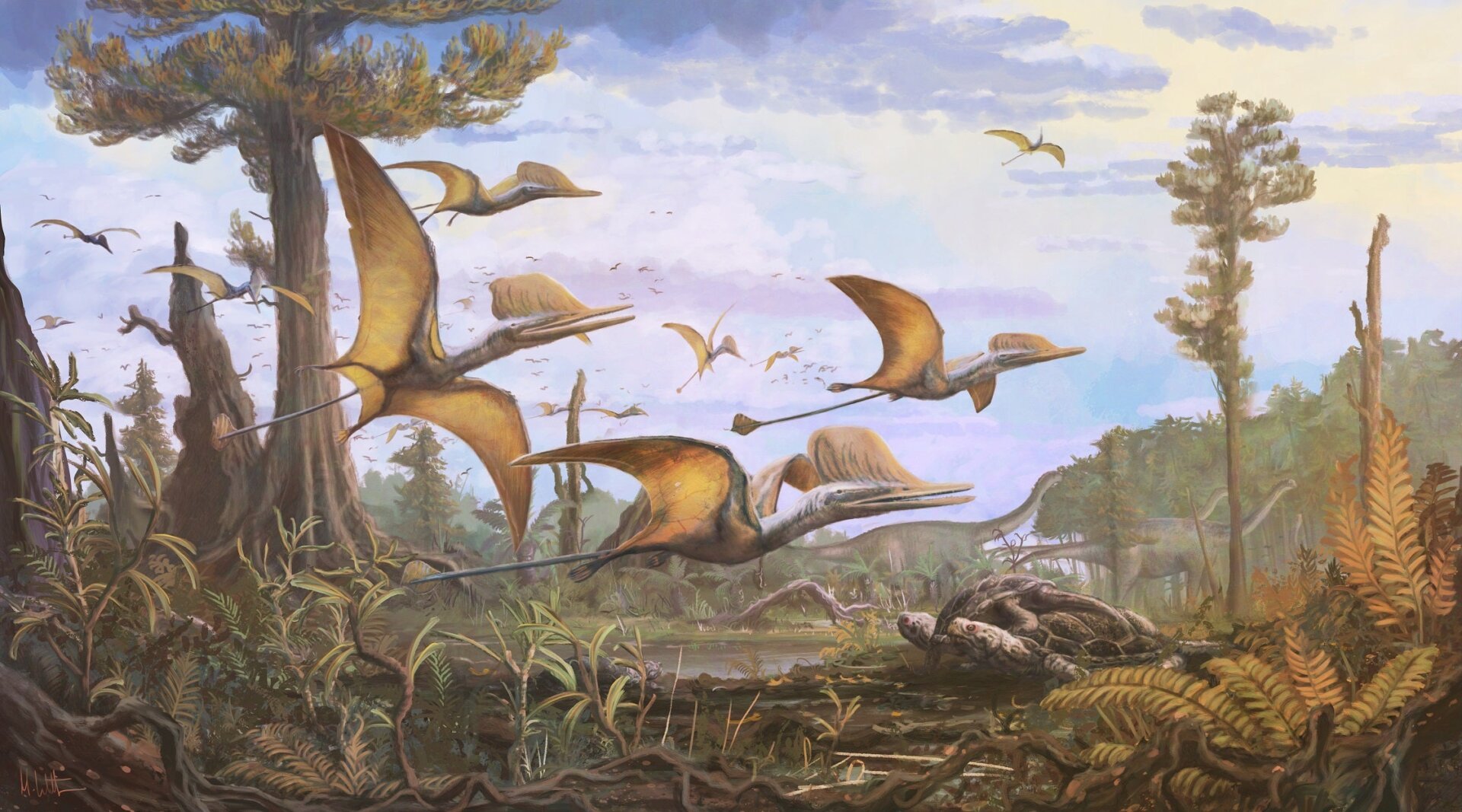 Rare Jurassic Pterosaur Fossil Unearthed on Scotland's Isle of Skye