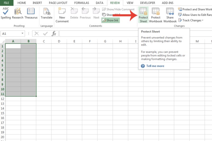 The Protect Sheet button in Microsoft Excel used for confirming the locking of cells.