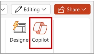 Copilot Pro Icon