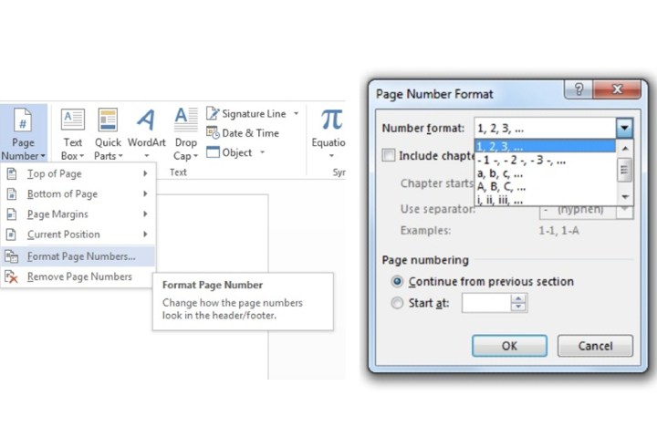 The Format Page Numbers location and associated options on Microsoft Word.