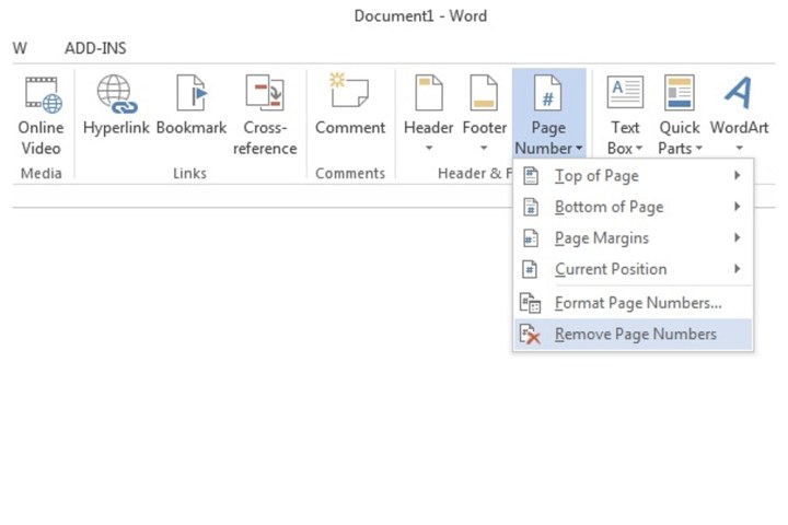 The Remove Page Number tab used for removing a page number for a Microsoft Word document.