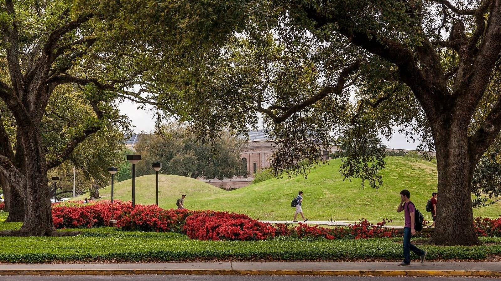 LSU Mounds: Oldest Human-Made Structures in the Americas