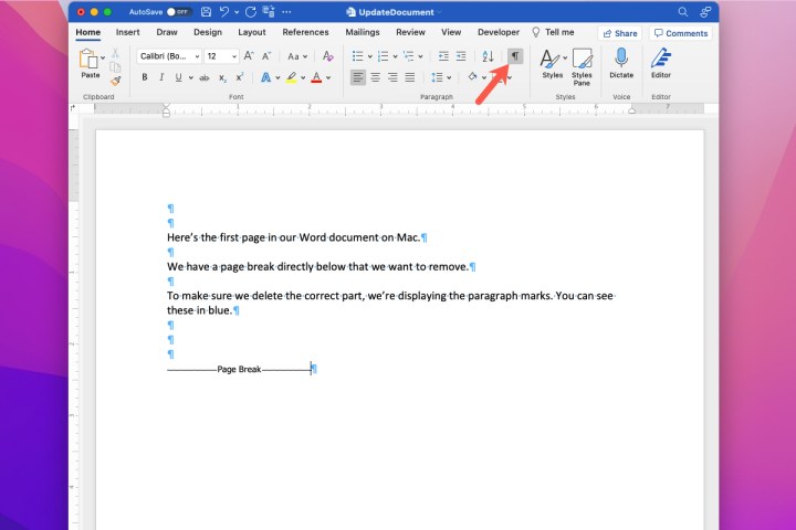 how to remove page break in word mac show paragraph marks