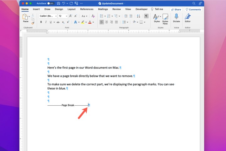 how to remove page break in word mac cursor