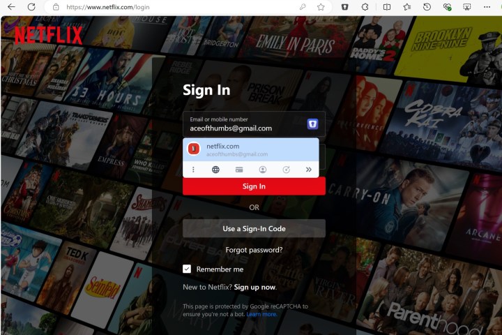 Enpass auto-filled my Netflix login after I selected the password box.