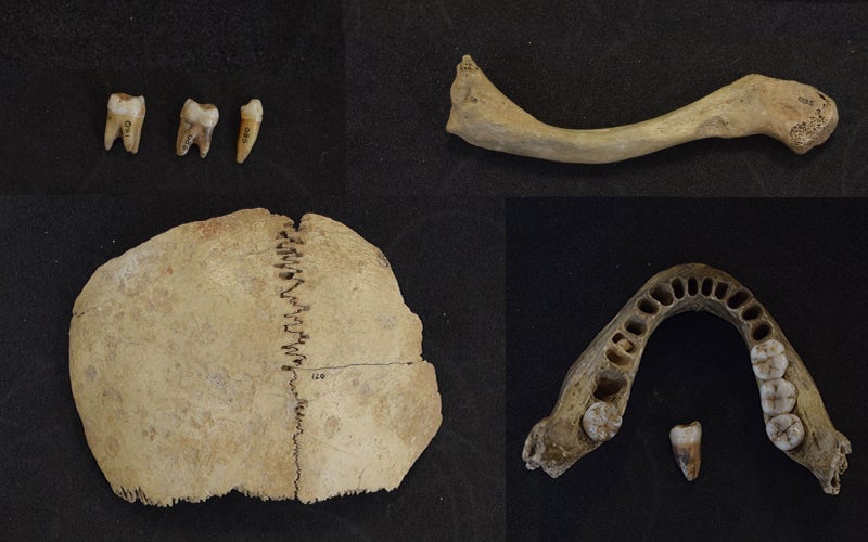 Oldest Human DNA in UK Reveals Two Distinct Ancestral Groups