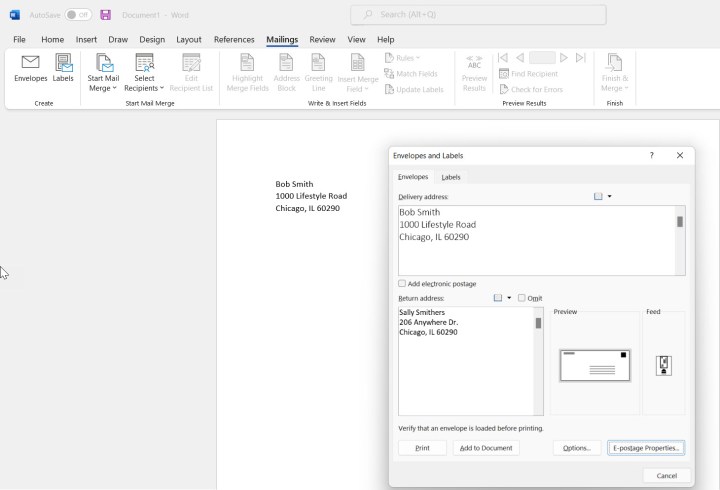 A screenshot of the Envelopes and Labels dialog box in Word. Alt: Adding a return address in the Envelopes and Labels dialog box.