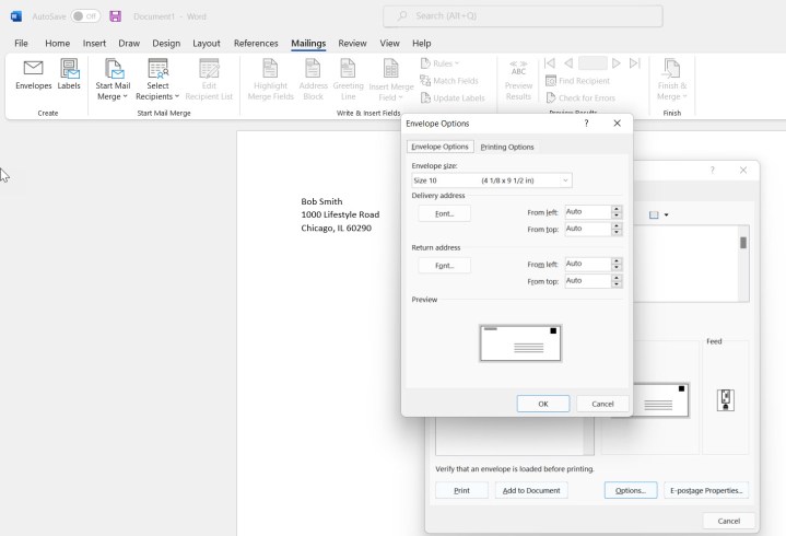 A screenshot of the Envelope Options dialog box in Word. Alt: Selecting envelope size and font options in Word.