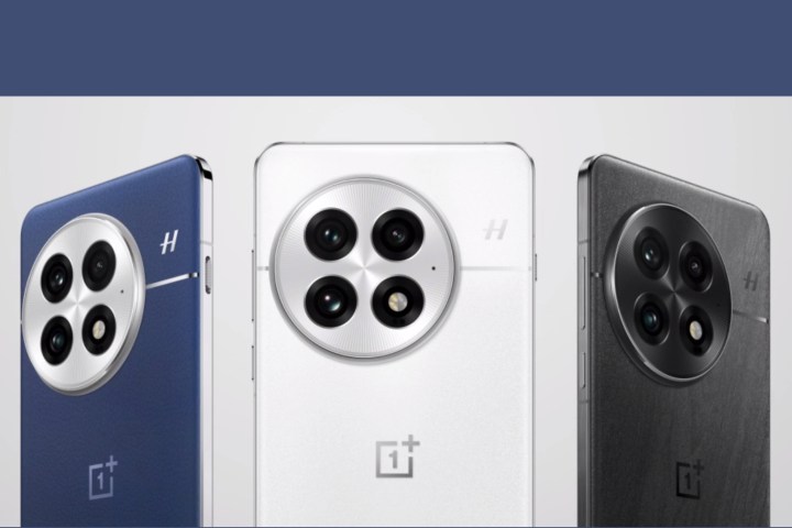 Renders of the OnePlus 13 in three colors.