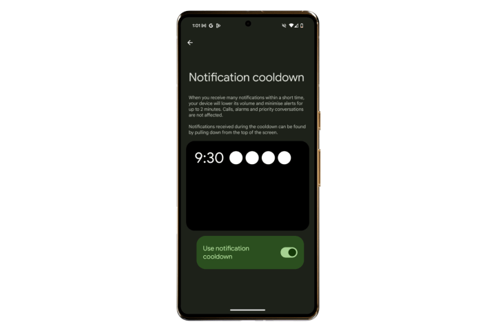 Notification Cooldown toggle in Android 16.